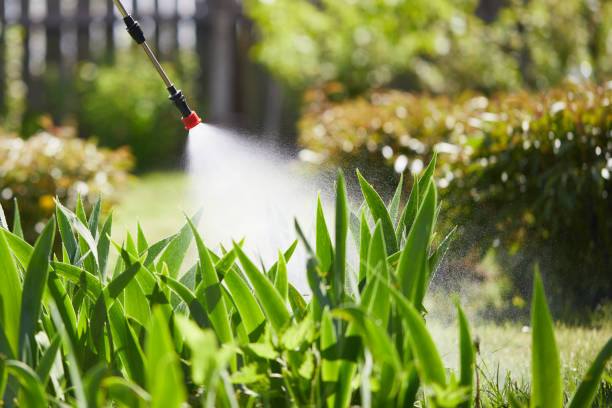 Tamper-Resistant Bait Stations for Rodents in Purvis