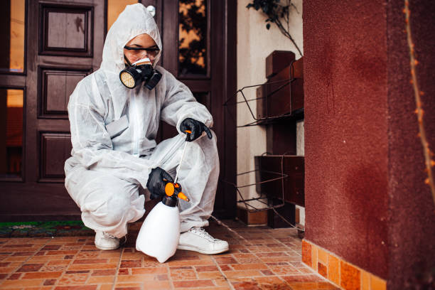 Attic and Crawl Space Rodent Treatment in Purvis