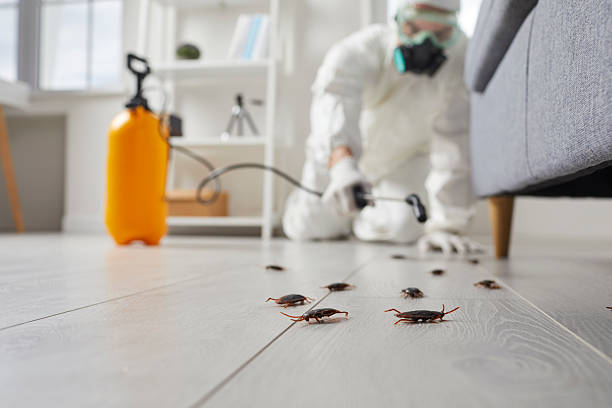 Commercial Rodent Management in Purvis